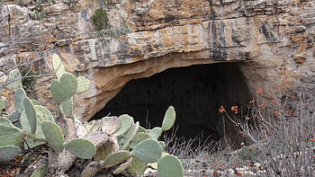 Carlsbad Caverns, National Park, Prettiest cave, Natural beauty HD wallpaper