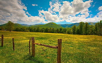 Nature, Grass, Sky, Summer, Field, Fence HD wallpaper
