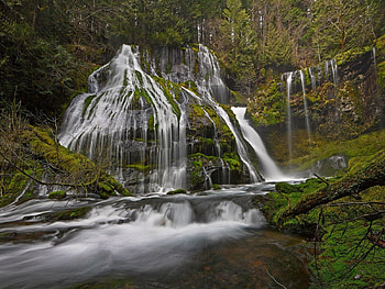 waterfalls, river, forest, tree HD wallpaper