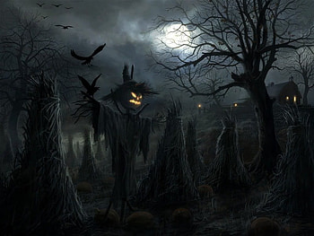 The Pumpkin King, night, full moon, moon, clouds, corn stalks, bats, tree HD wallpaper
