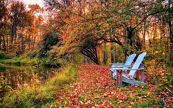 benches in the park, autumn, benches, pond, park HD wallpaper