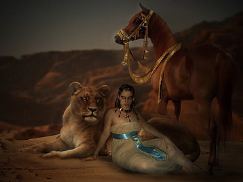 Queen of Sahara, horse, lion, fantasy, woman HD wallpaper