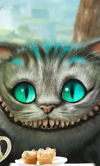 Close-up, Cheshire Cat HD phone wallpaper