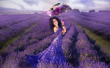 Walking in Lavender Fields, splender, umbrella, beautiful, woman, purple, Feminine, lady, lavender field, flowers HD wallpaper