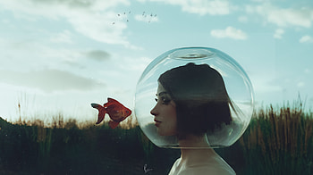 Tears Of Golfish, artist, artwork, digital-art HD wallpaper
