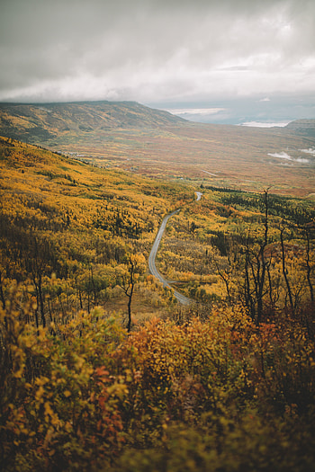 Nature, Mountains, View From Above, Road, Forest, Valley HD phone wallpaper