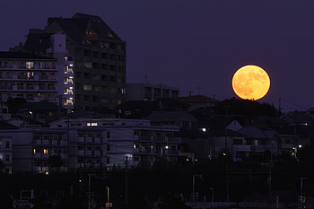 Night, Moon, City, Building, Dark HD wallpaper