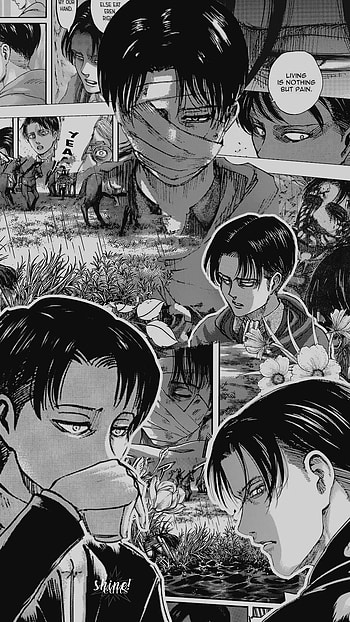 Levi, aot HD phone wallpaper