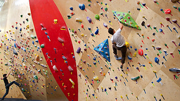 Walltopia Climbing Center, Rock Climbing HD wallpaper
