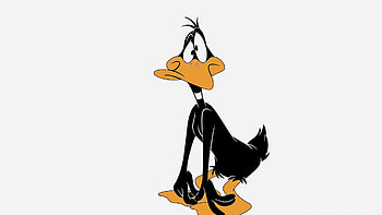 Daffy Duck, Looney Tunes Characters HD wallpaper