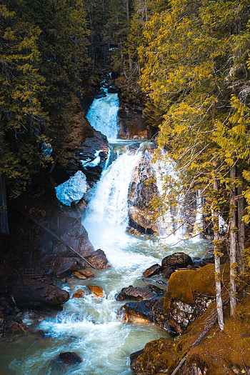 Nature, Trees, Stones, Rocks, Waterfall, Flow, Stream HD phone wallpaper