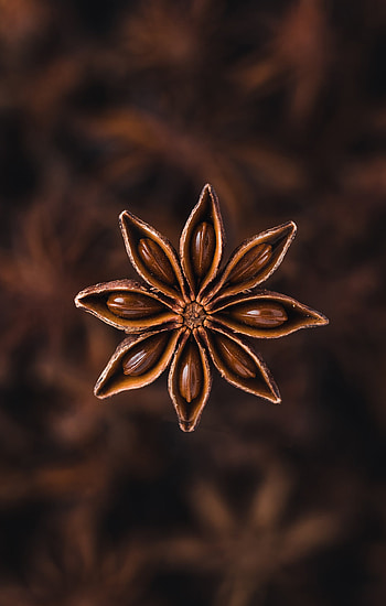 Star anise, Exotic spice, Distinct flavor, Culinary use HD phone wallpaper