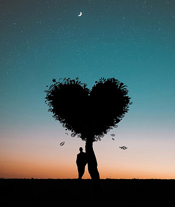 Silhouette, sunset, heart shape, tree, person, gradient HD phone wallpaper