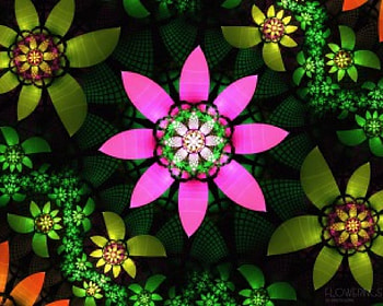 modern design, pink, orange, green HD wallpaper