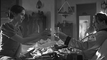 Movies ate my life, Mank film appreciation, Personal feelings, Cinematic experience HD wallpaper