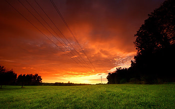 Nature, Sunset, Sky, Greens, Field, Evening, Wires, Wire HD wallpaper