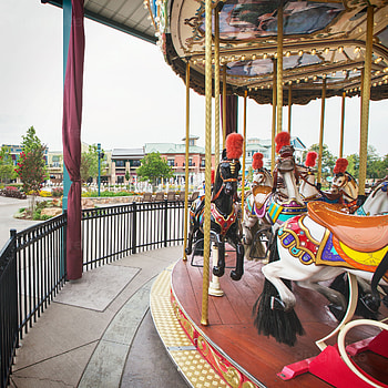 Carousel horses, Merry go round, Amusement park, Stock HD phone wallpaper