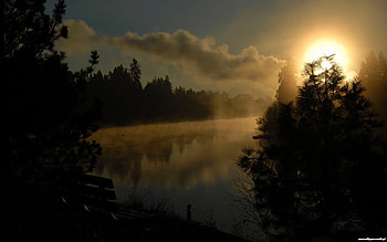 Majestic Nature, skies, trees, beautiful, nature, sun, forest HD wallpaper