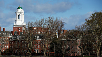 Harvard University, Android , Samantha Anderson, Customizable HD wallpaper
