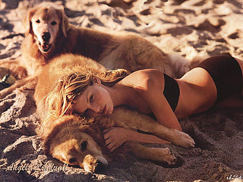 Angela-Lindvall-47, model with animal, babe and dogs, pets, female HD wallpaper