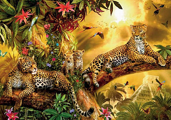 Golden Leopards, Golden, Leopards, family, nature, jungle, predator, sunset HD wallpaper