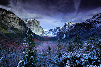 Winter Trees Mountains , nature, trees, mountains, snow, winter HD wallpaper