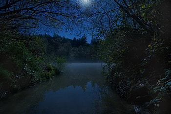 River of no Return, reflection, moonlight, bushes, trees, sky, evening HD wallpaper