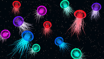 Jellyfish Space Colorful Abstract , jellyfish, abstract, dark, black, colorful, artist, artwork, digital-art HD wallpaper