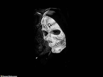RIP - Reaper, reaper, rip HD wallpaper