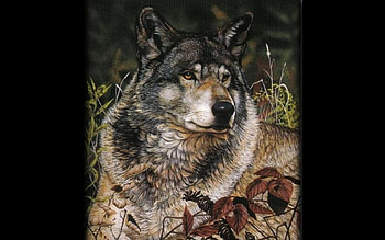 handsome alpha, alpha, art, wolf, male, handsome HD wallpaper