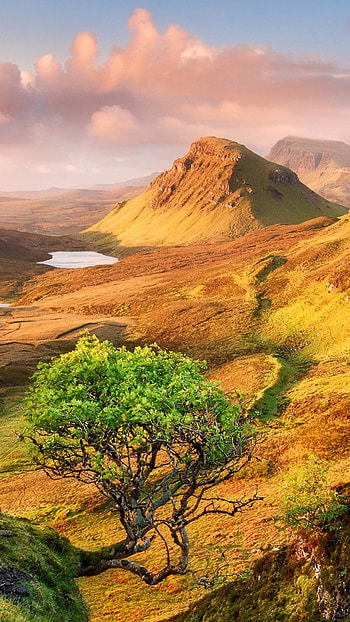 Scottish , Nature's glory, Pocket paradise, Scotland's charm HD phone wallpaper