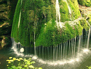 Beautiful waterfall, water bright, green, waterfall, nature, yellow flowers, clear, rocks HD wallpaper