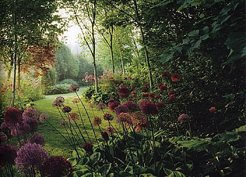 Garden., garden, grass, tree, flower HD wallpaper