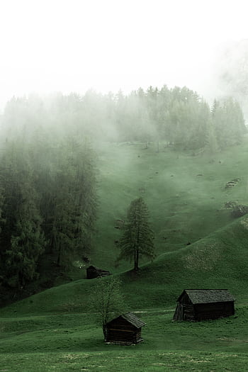 Explore a serene mist-covered forest landscape with rustic wooden cabins on green hills. HD phone wallpaper