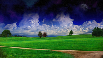 Serene Grassland: A Stunning Ultra, field, grass, landscape HD wallpaper