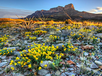 Guadalupe Mountains National Park, Texas HD wallpaper