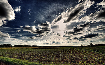 Nature, Sky, Clouds, Field, r, Rows, Ranks, Arable Land HD wallpaper