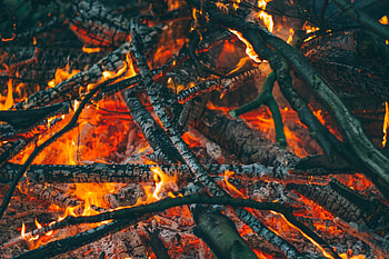 Fire, Bonfire, Coals, Miscellanea, Miscellaneous, Ash HD wallpaper