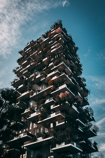 Plants, Cities, Trees, Architecture, Building, Facade HD phone wallpaper