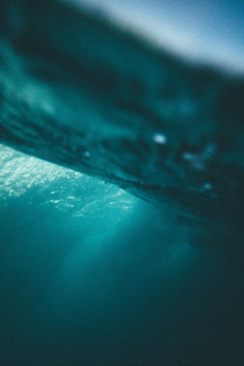 Peaceful underwater view capturing the tranquil beauty of the ocean in Indonesia. HD phone wallpaper