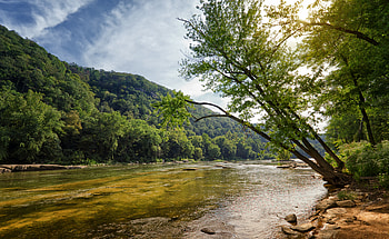 Landscape, Nature, Rivers, Trees, Shore, Bank HD wallpaper