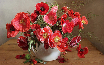 Poppies, vase, bouquet, red HD wallpaper