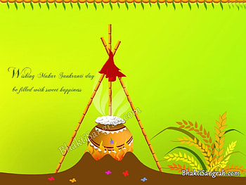 makar sankratri, makar, hindu, fastival HD wallpaper
