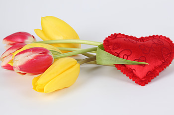 For you..., tulip, bouquet, graphy, beautiful, tulips, gift, nice, elegant, flower, love, cool, flowers, , heart, harmony HD wallpaper