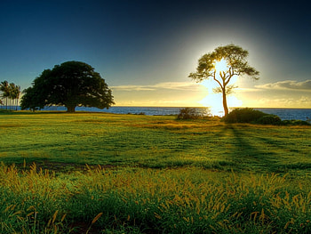 Landscape, Nature, Sunset HD wallpaper