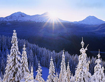 Winter sunshine, winter, sunshine, cold, trees, nature, sunny day, sun, mountain HD wallpaper
