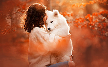 So Lovely, trees, autumn, dog, girl HD wallpaper
