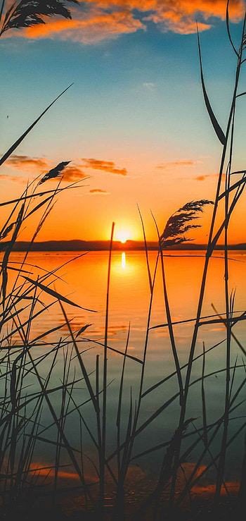 Sunset glow, Vibrant colors, Serene atmosphere, Breath-taking scenery HD phone wallpaper