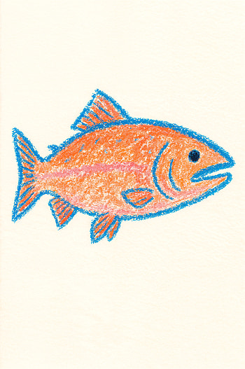 Crayon-Kissed Salmon — , fish HD phone wallpaper