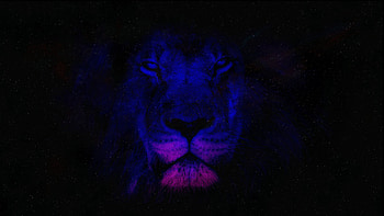 Lion in , High-resolution visuals, Captivating ry, Magnificent beast HD wallpaper